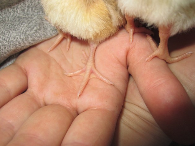 High five! You made it to Friday!