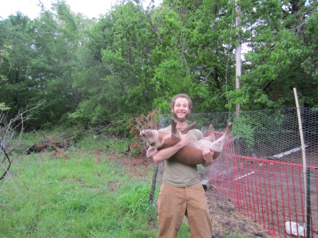 The first one was easy. She brayed horribly in Sean's arms, but his triumph was unquenched.