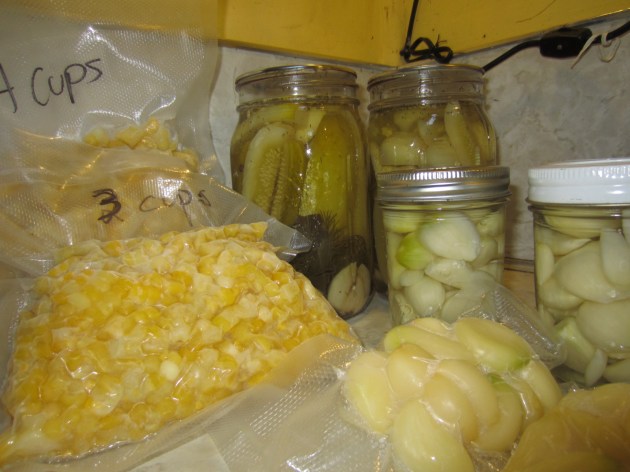 Bonus Points: I also froze a couple quarts of stock today. Stock is not photogenic.