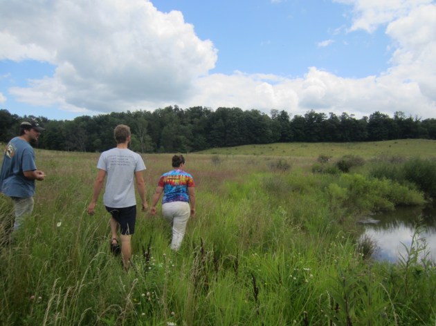 We went out looking for a group of lambs that had an appointment with the butcher. These appointments are made months in advance.