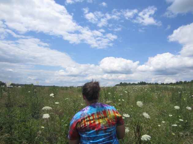 The pastures at the farm are gorgeously in bloom this time of year. Where are those sheep?