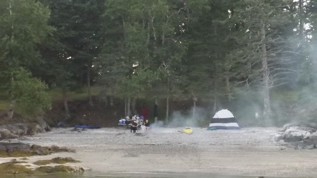 We set up camp on Little Pickering island, the paradise of my childhood.