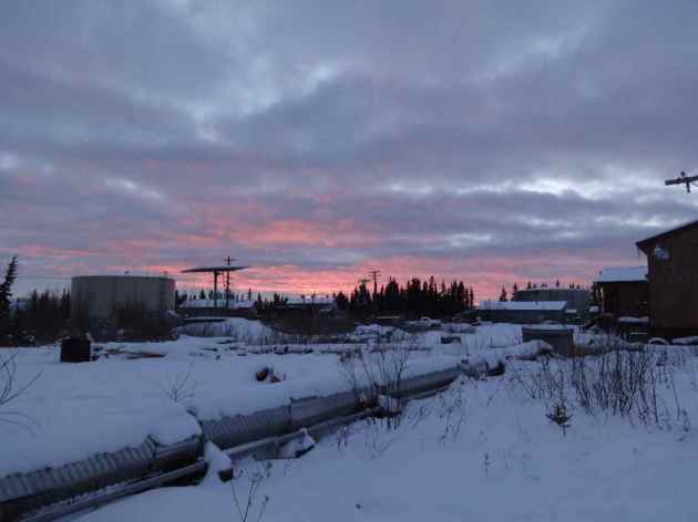 When the sun sets in the arctic, the hungry monsters drag themselves relentlessly through the snow, clamoring for COOKIES!