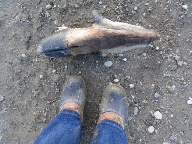 I found this outside my house. 