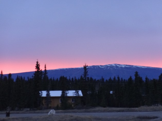 The sun set in a pink glow just before midnight. After that, it was a silky gray twilight until 5 am. 