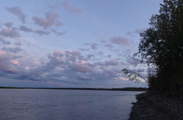 I spent last week sleeping in a tent with the door open to the night sky and the river breeze and all the wild things in the wilderness. The yukon flats are not safe, but I wouldn't trade the cool air and the sunset for walls and a ceiling. 