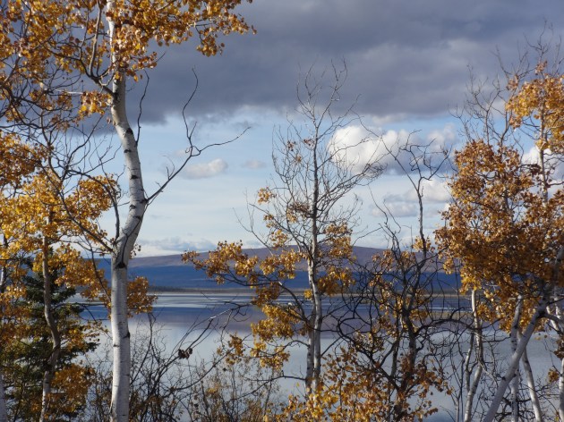 This one and the next one go together. I was so happy looking out over the lake, and I felt the happy showing on my face.