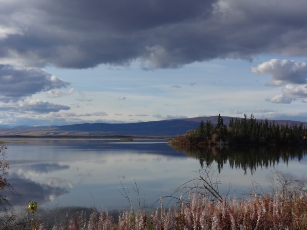 the last of the fireweed in the foreground.