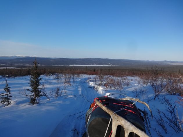 martenlakelookingback