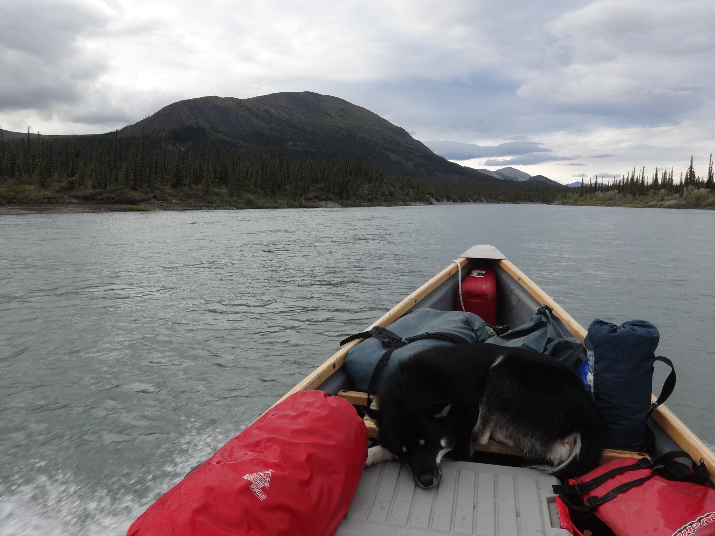 daazhraii familiar mountains