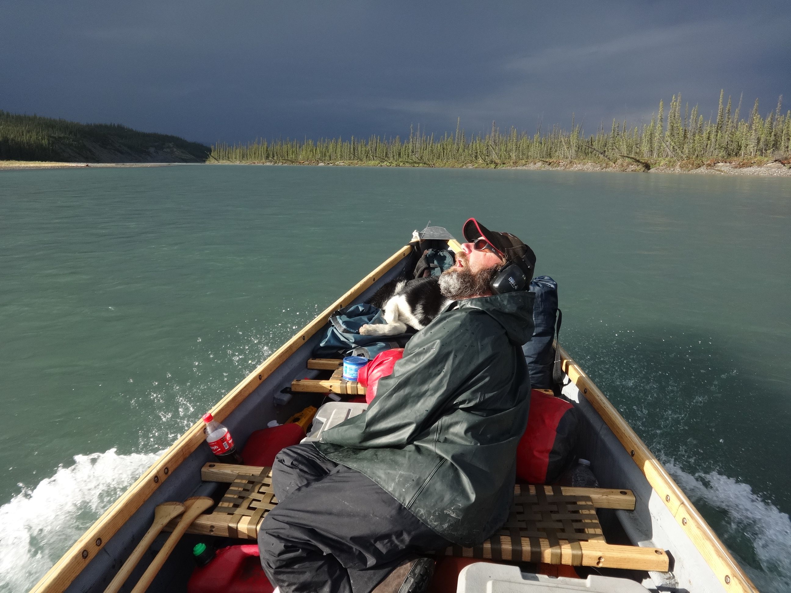 geoff after storm drinks rain