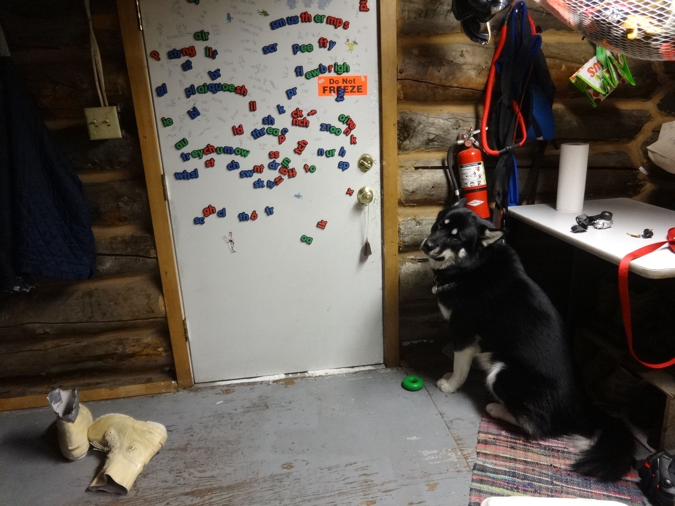 daazhraii by the door