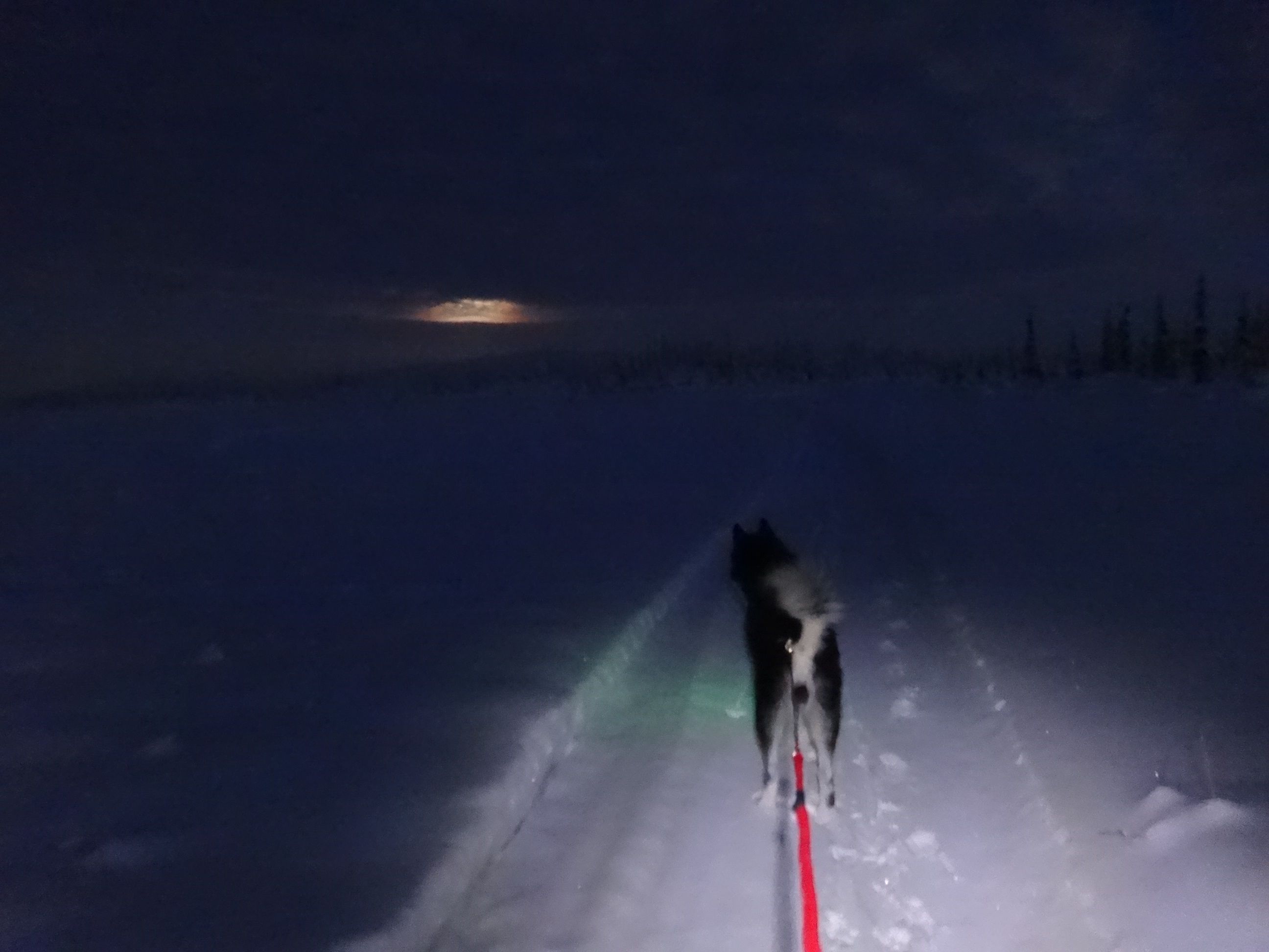 keelyshoopieskijormoon