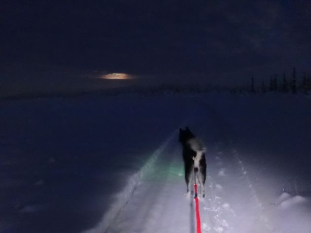 keelyshoopieskijormoon