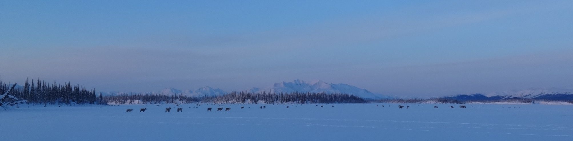 caribou airport lake 1