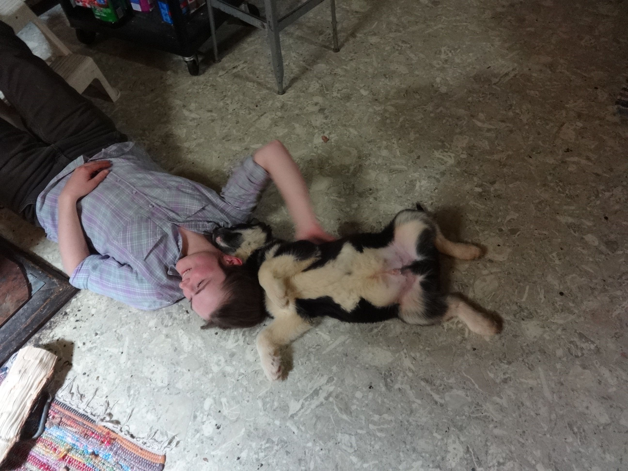 Daazhraii one year ago!