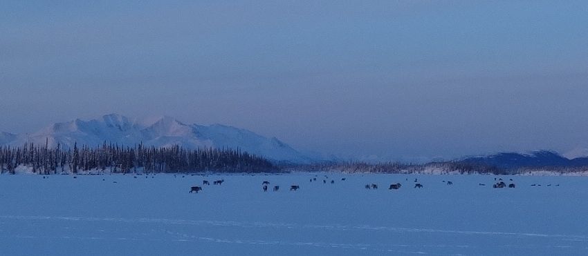 Vadzaih Airport Lake 2