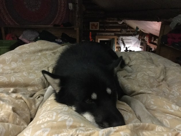 3E72A610-43E5-4DAD-96E6-2EDCB7C2E28C