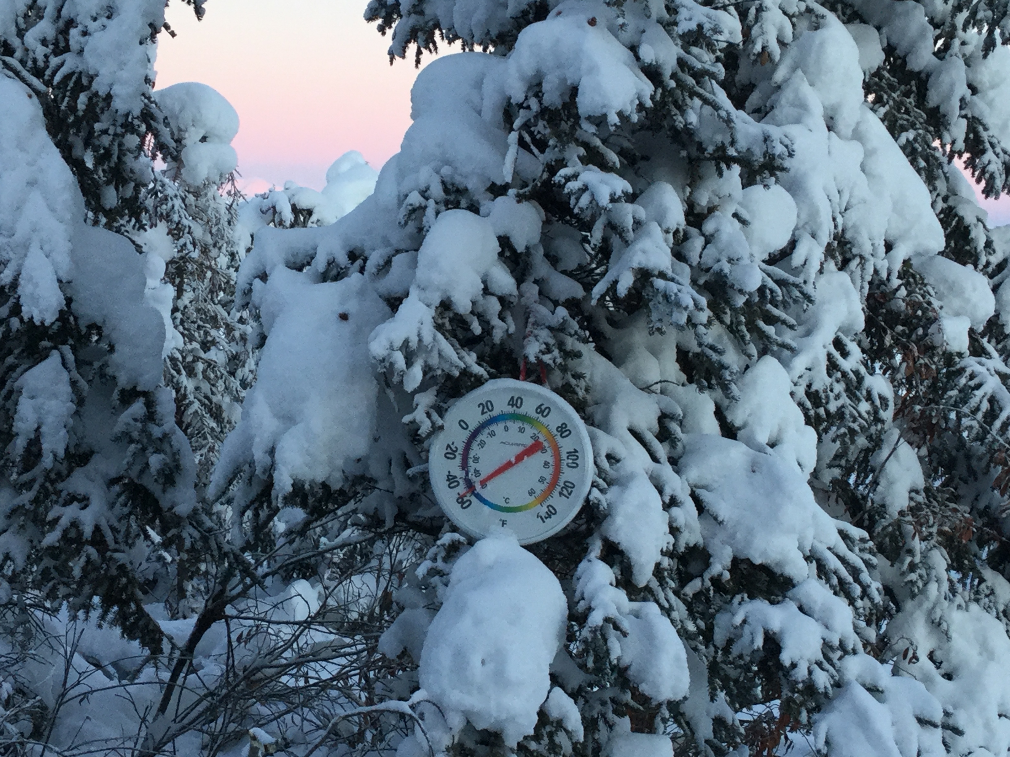 00D4305B-22AB-42BC-AD5F-EDD57AA42509