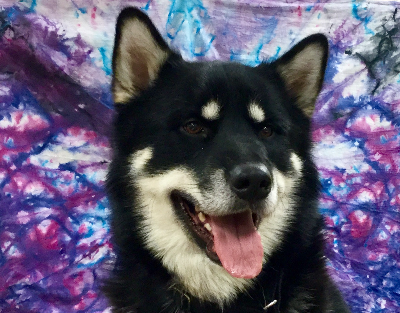 2197D060-9421-4EF5-9D15-C979B43B34F1