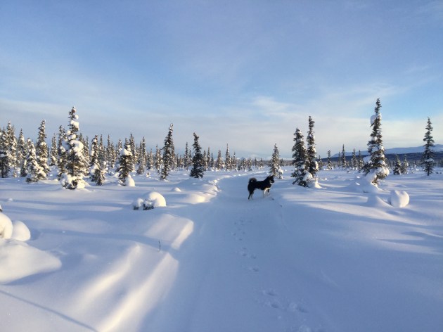 980DDD22-197B-456F-A9D6-C0EF3BF18FDC