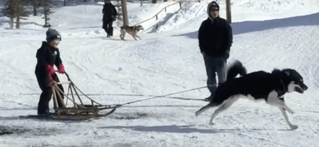 Screen Shot 2019-04-17 at 12.15.19 PM