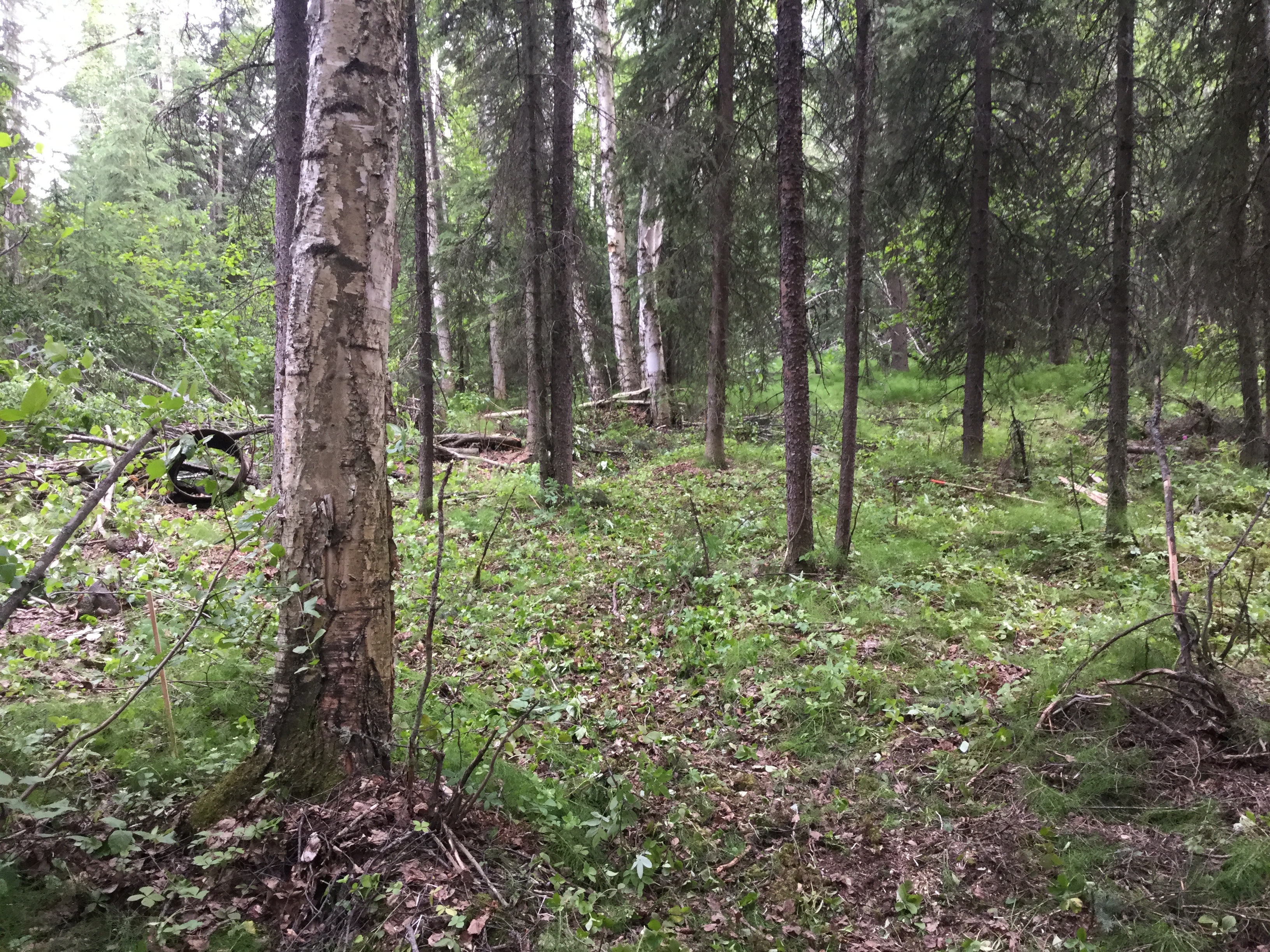 40497280-FA7D-42AD-AE0E-2EF3D4267719