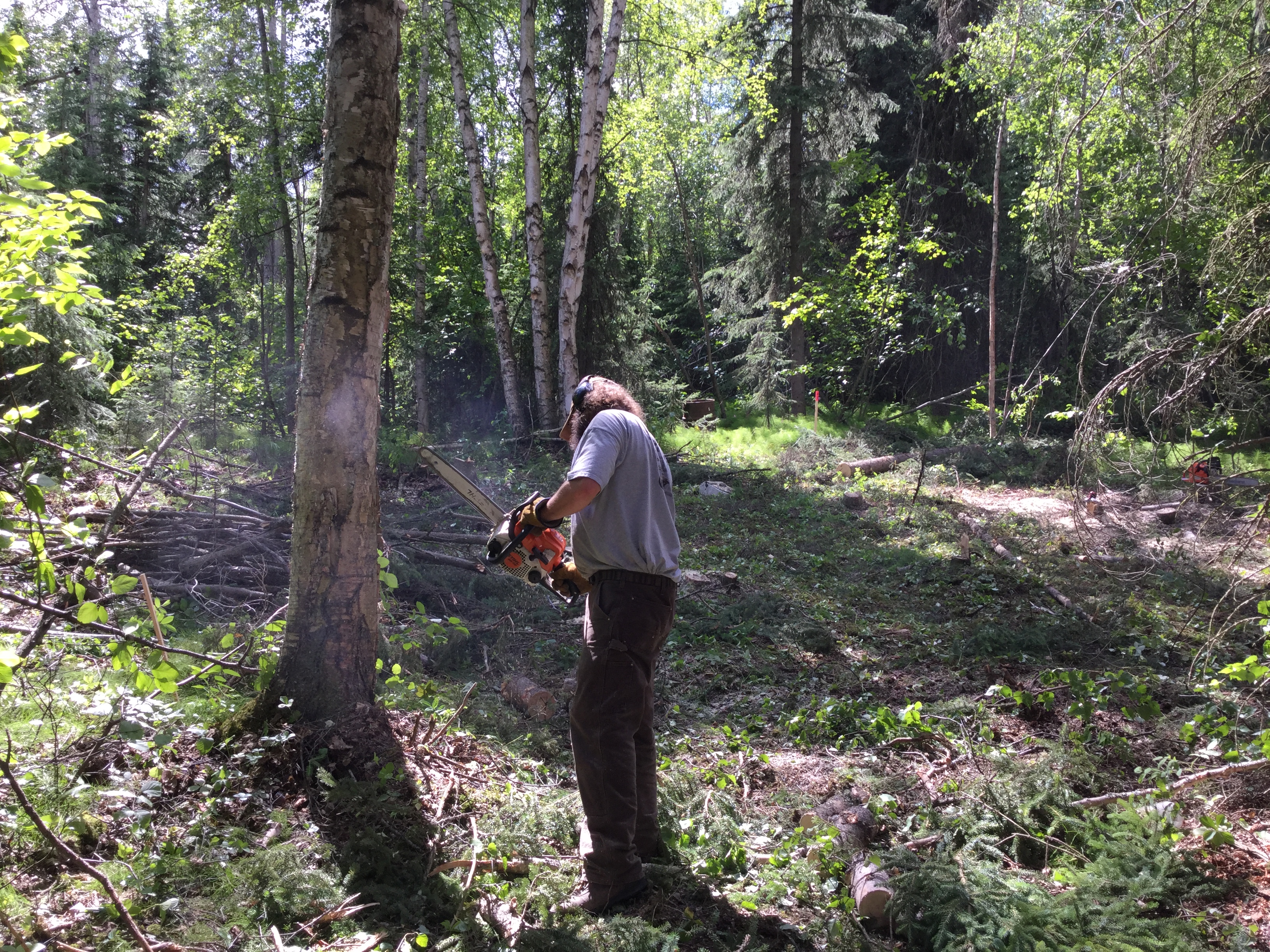 5B7456E7-FC9B-4690-9421-63EF097756BA