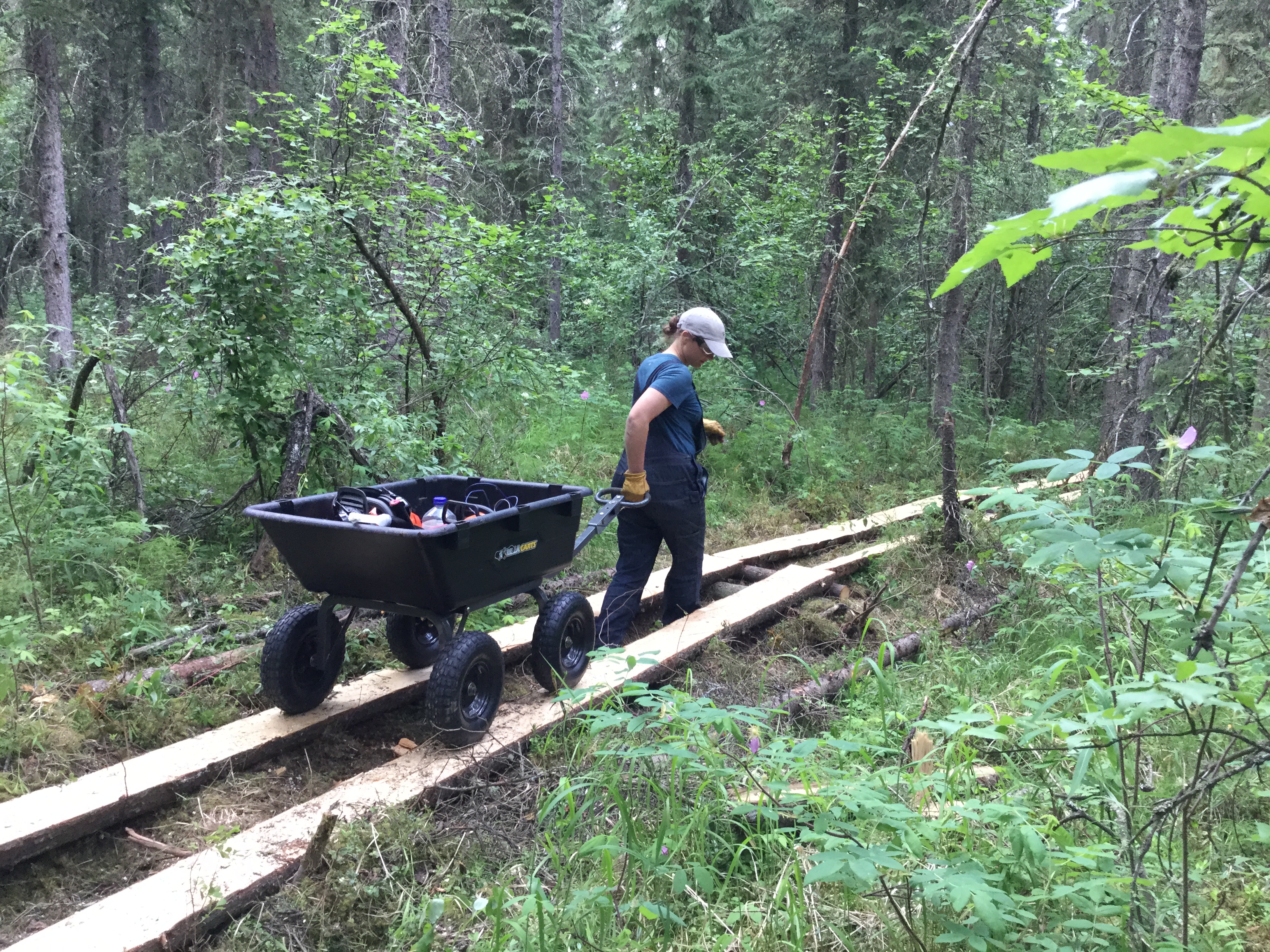 7863334F-ADE4-49CB-8DA2-16C6CD3CEF81