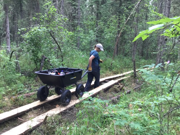 7863334F-ADE4-49CB-8DA2-16C6CD3CEF81