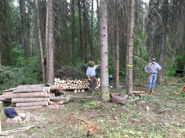 7915A49D-FFFD-4C9D-8FFD-7989234F822C