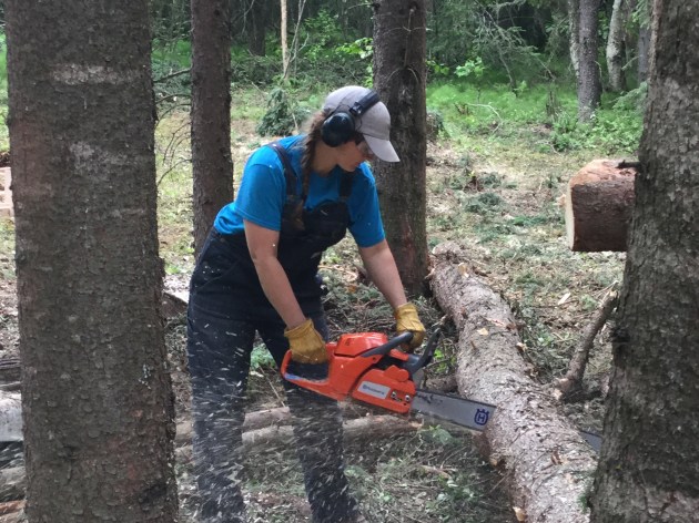 7D3BE7C5-AB64-4804-90AE-6EB0D5007A20