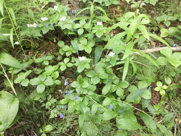 9F80BAFA-5D14-4DC6-9039-0164806AA937