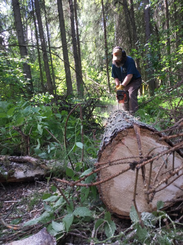 DDE8C47D-A7E2-4B47-BB52-A83396220AC1