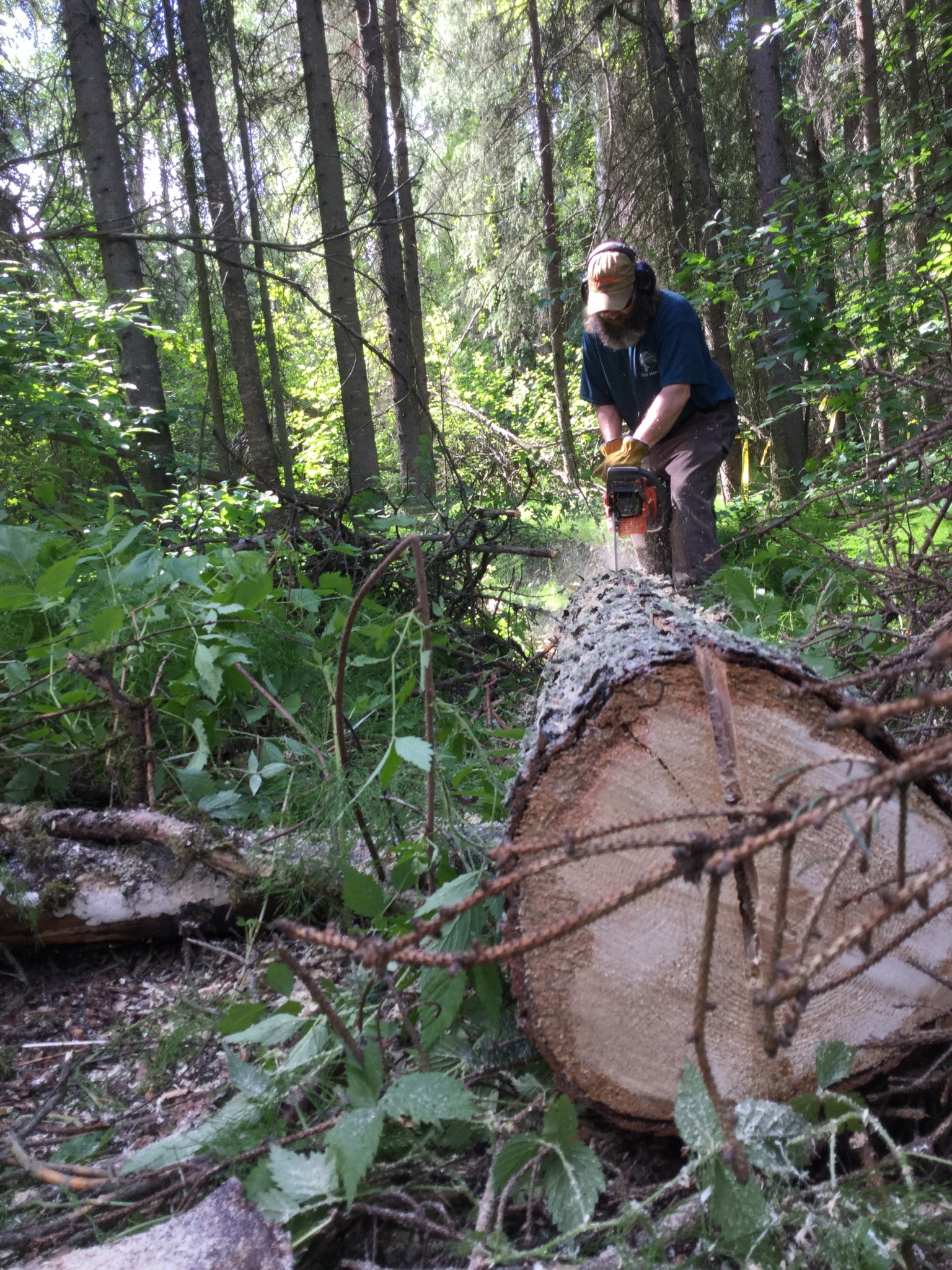 DDE8C47D-A7E2-4B47-BB52-A83396220AC1