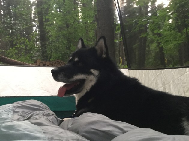 413E08D7-FA5D-4A41-814D-44CE96E3E9F2